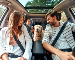 Vai viajar? Revisões necessárias para garantir a segurança do seu veículo e de toda a sua família!